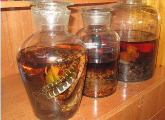 冬虫夏草酒价格多少钱合适