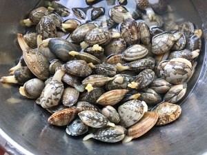 酱香炒花甲做法