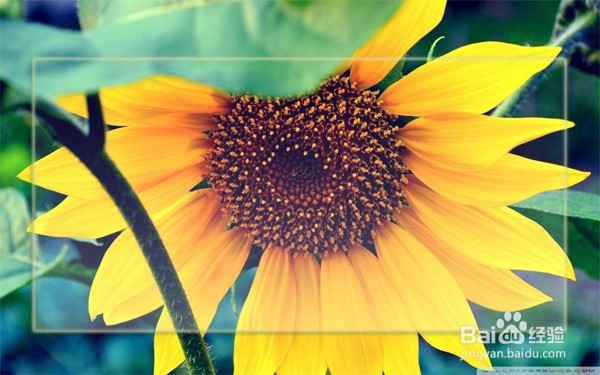 ps玻璃效果怎么做?