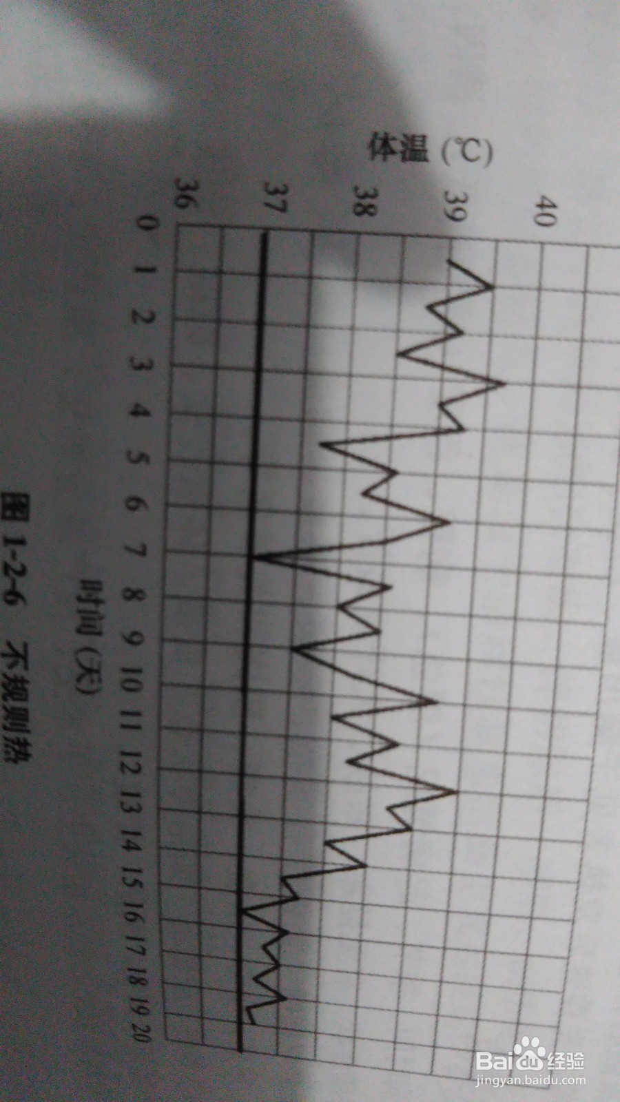 如何分辨发热类型