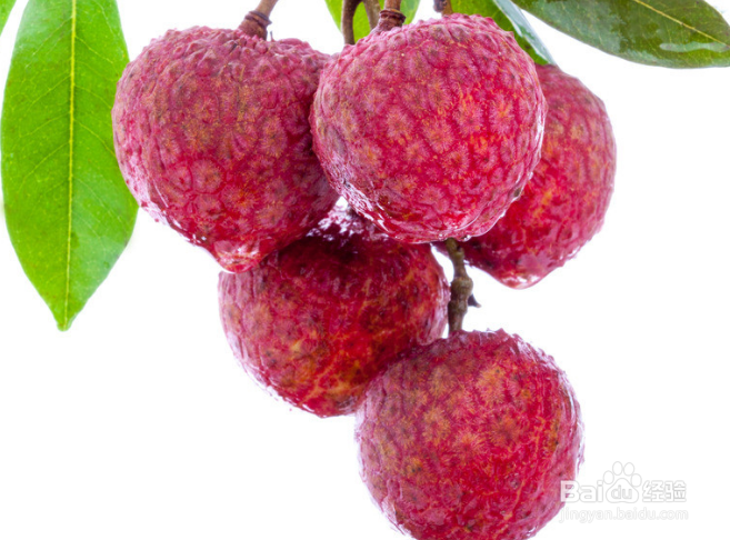 荔枝不能和什么一起吃