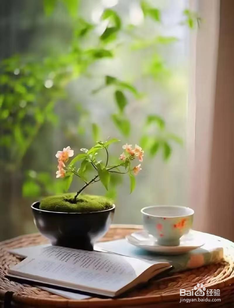 生活最好的状态,就藏在这四句话里