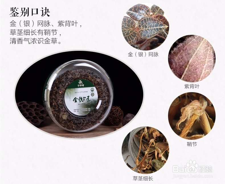 如何鉴别金线莲的真假,怎么区分优劣好坏？