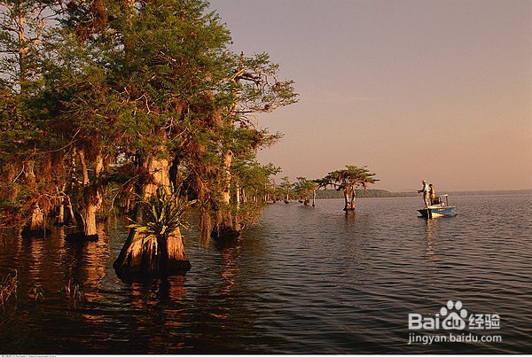 钓鱼人常犯哪些错误