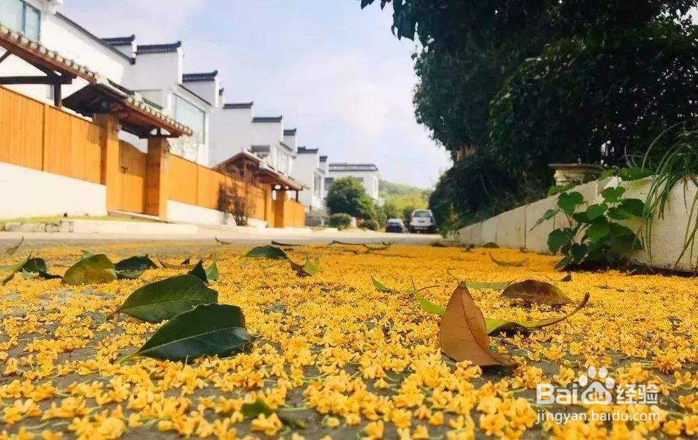 西安旅游攻略秘籍宝典