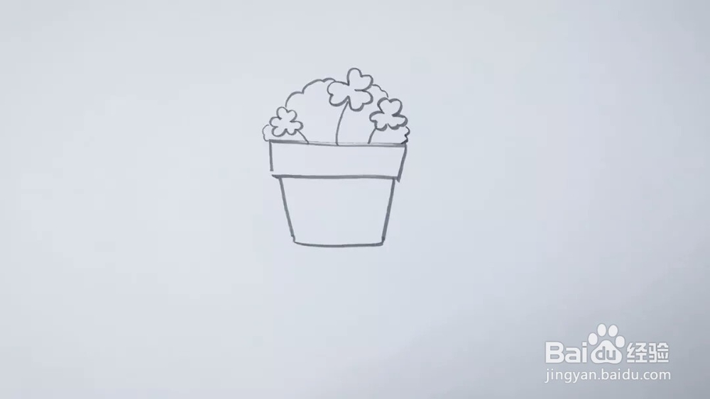 怎么画盆栽三叶草