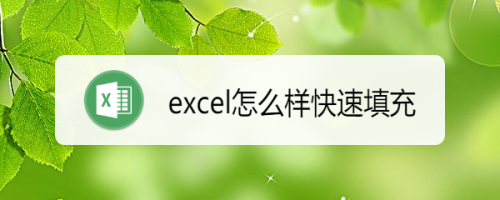 excel怎么样快速填充