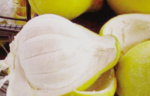 如何去除厕所的臭味