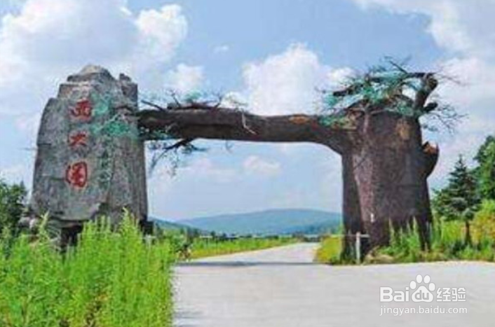 七台河有什么好玩的地方