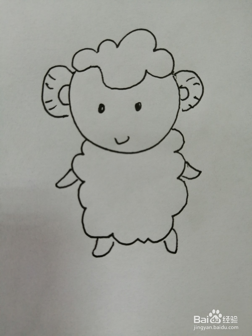 可爱的小绵羊怎么画