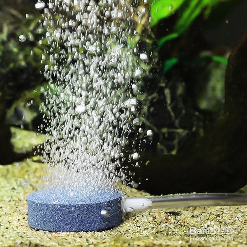 怎么消除气泡石的声音