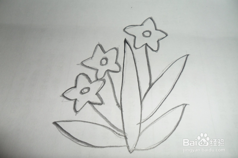 水仙花的画法