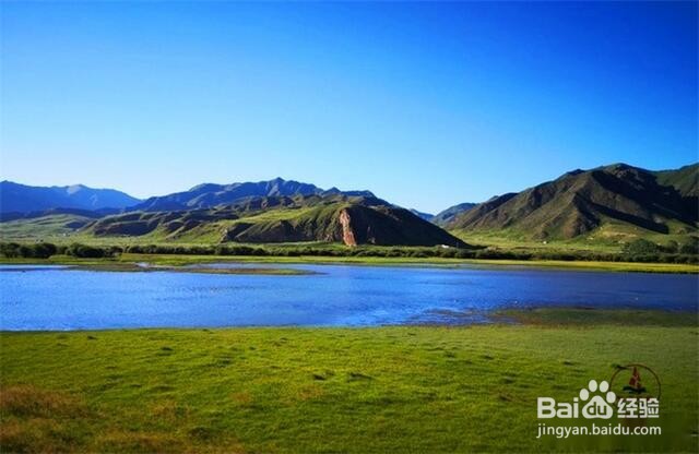甘南格桑花草原旅游怎么样