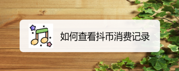 如何查看抖币消费记录