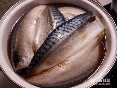 鲭鱼的营养价值 功效 做法 百度经验