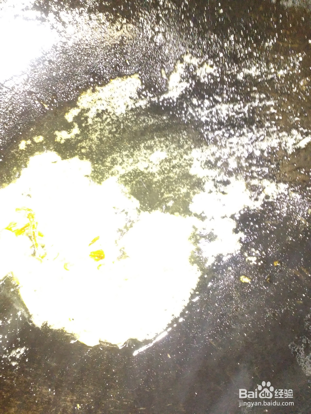 家常菜：炖排骨