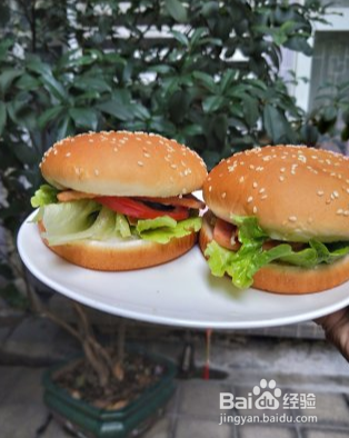 家庭版汉堡包怎么做？