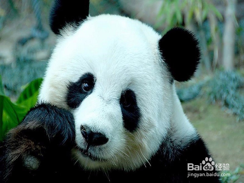 健康有效的减肥方法