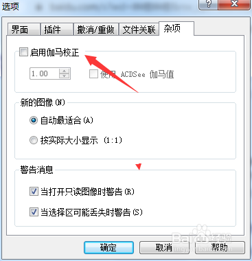 ACD FotoCanvas 2.0怎么开启伽马校正