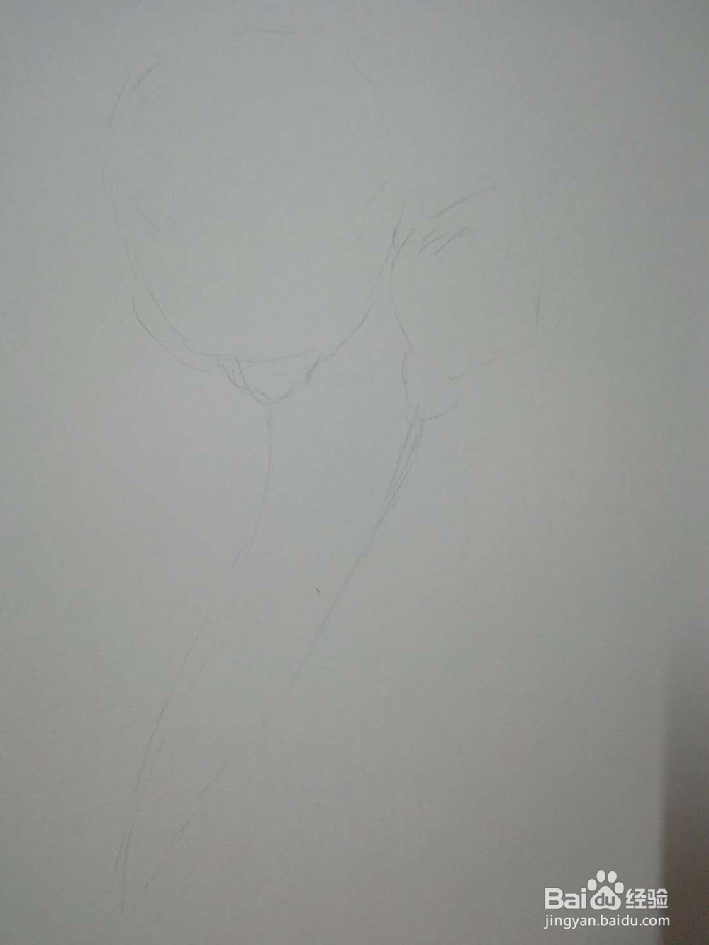 《玫瑰朵朵》手绘素描教程