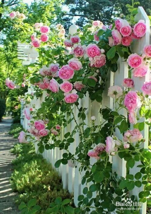 怎样瘦掉大腿部分