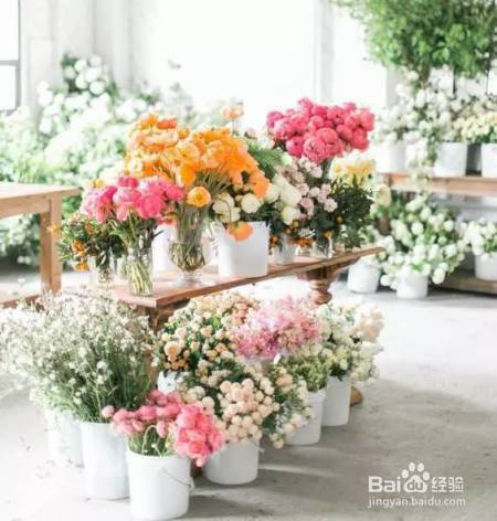 她把这个丢进花盆,植物不发黄不干枯多养好几年