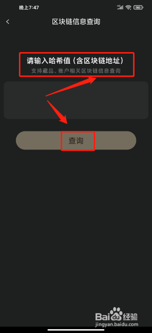 鲸探如何进行查询区块链信息