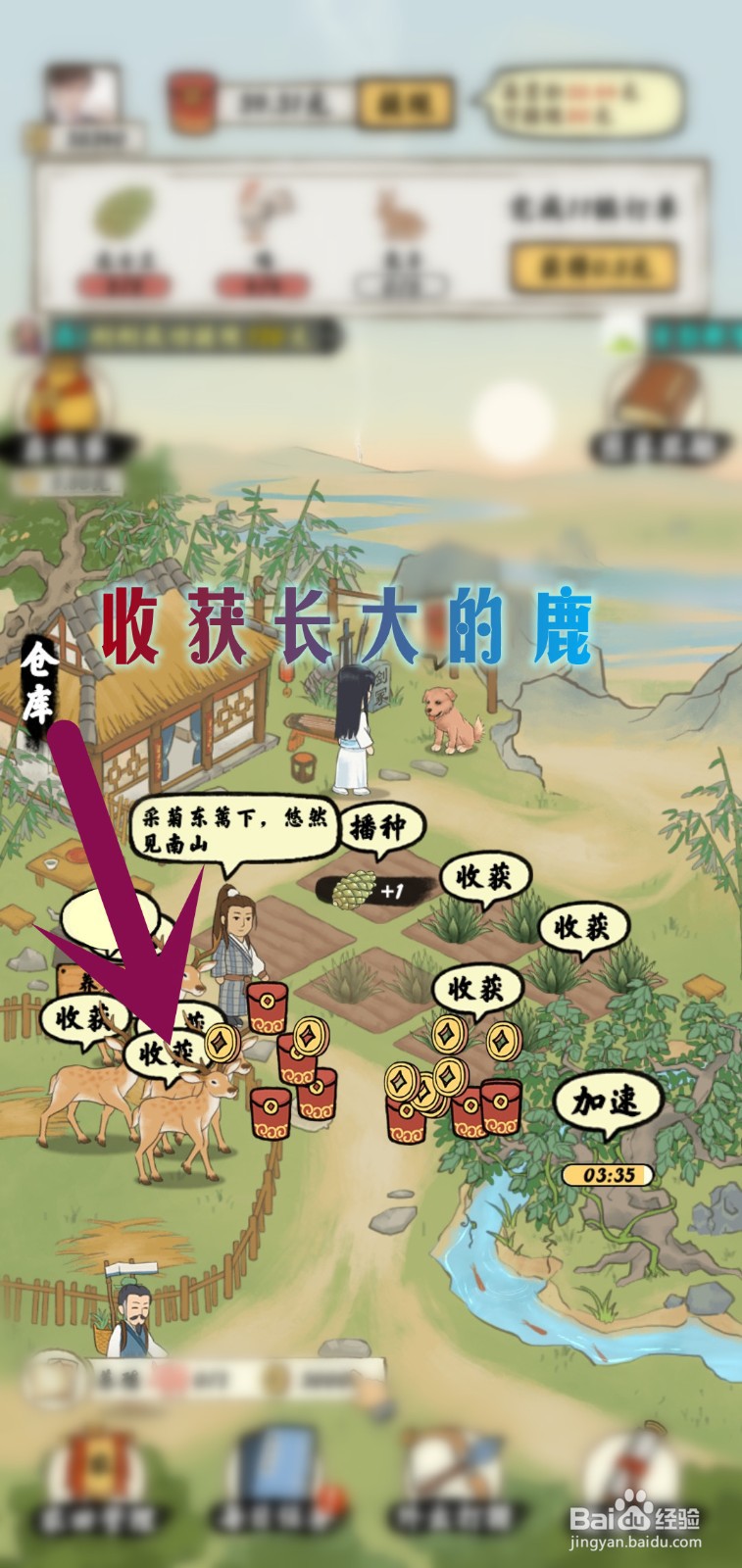 南山小院游戏怎么领稀有鹿