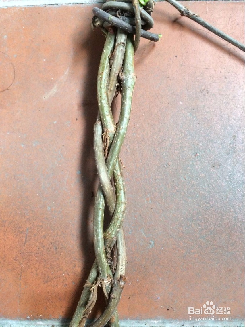 怎么用滕条做绳索