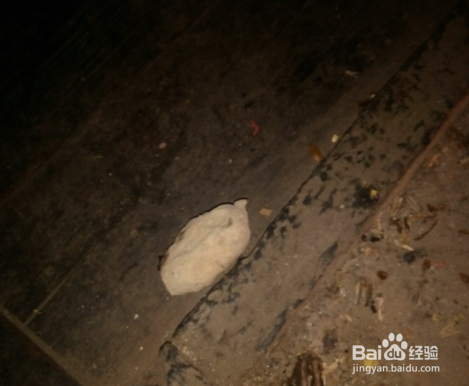 农家地道烤红薯的经典做烤法!