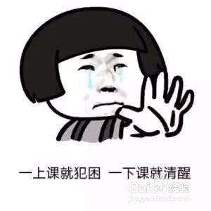 大一新生上学期会经历什么？