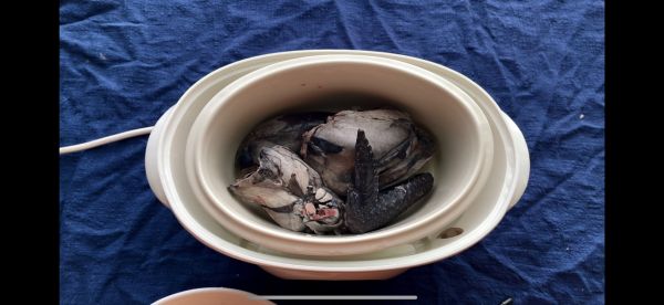 人参乌鸡花胶汤
