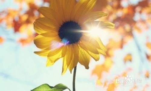 神经官能症的自我治疗方法及步骤