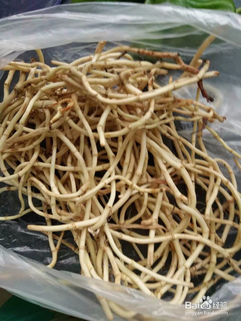 青椒凉拌折耳根