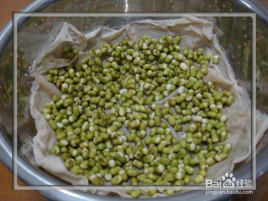 生活小窍门之自制豆芽
