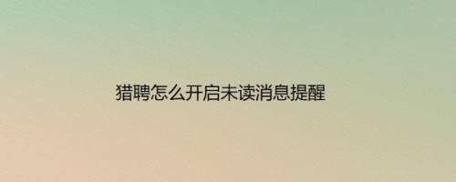 猎聘怎么开启未读消息提醒