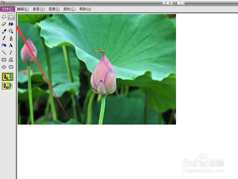 如何将word文档中的图片转换成jpg格式和bmp格式