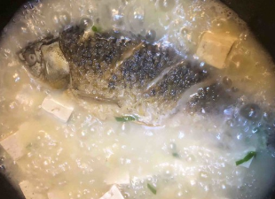 奶白色鲫鱼豆腐汤