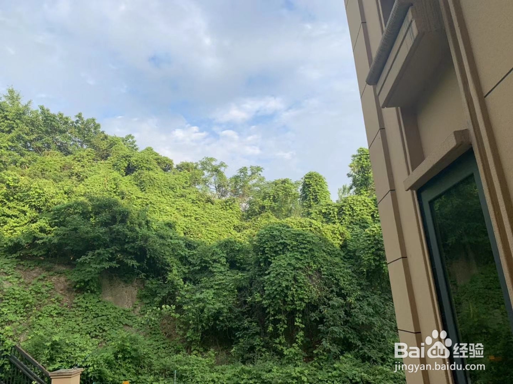 如何预防网络沉迷