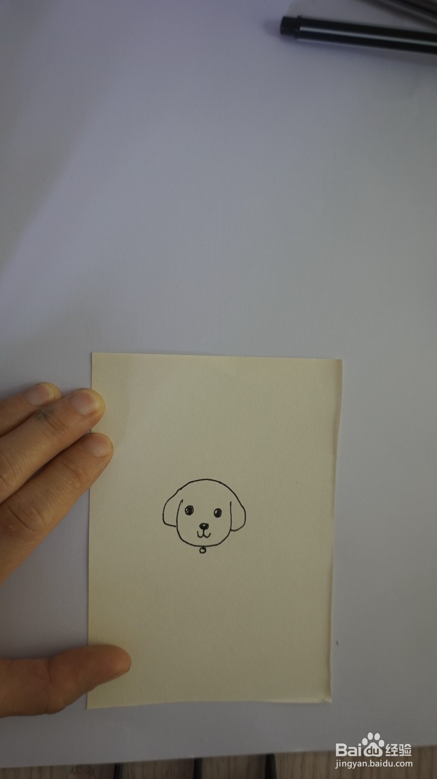 一起来画宠物狗的步骤