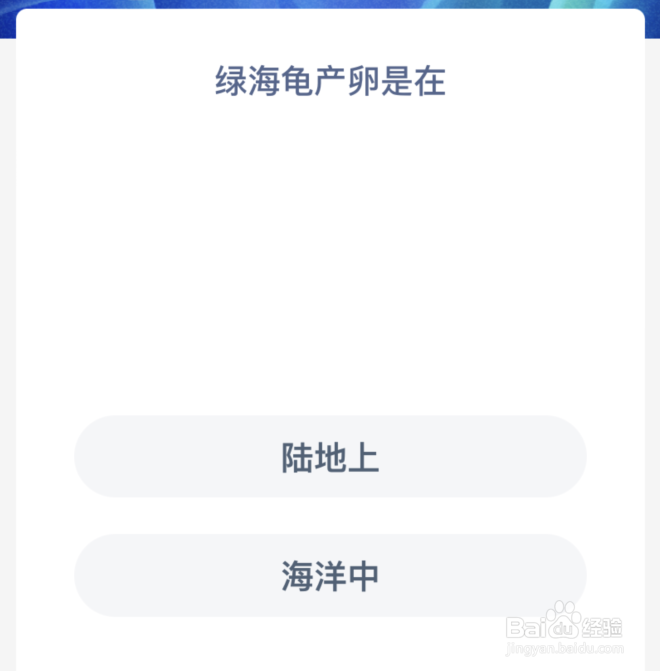 神奇海洋：绿海龟产卵是在
