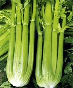 吃什么解决便秘