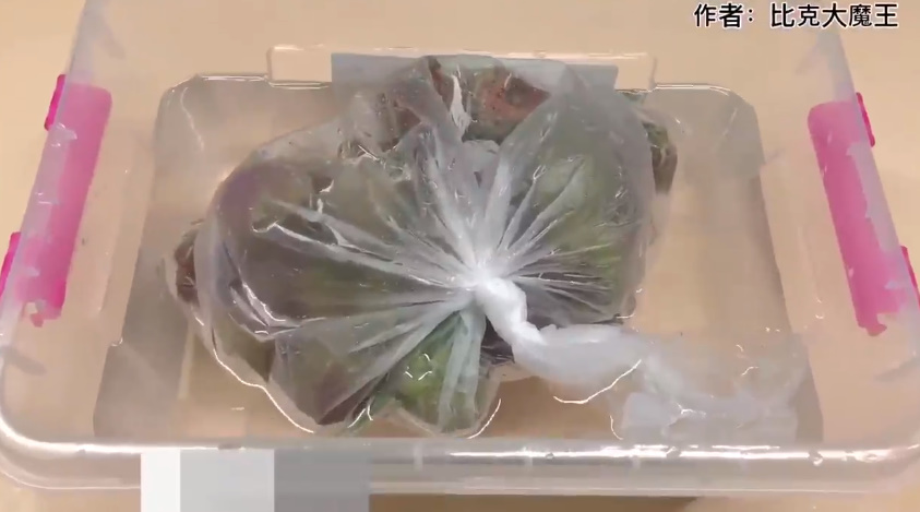 如何将荔枝进行保鲜