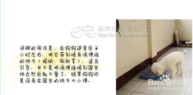狗狗定点上厕所如何训练
