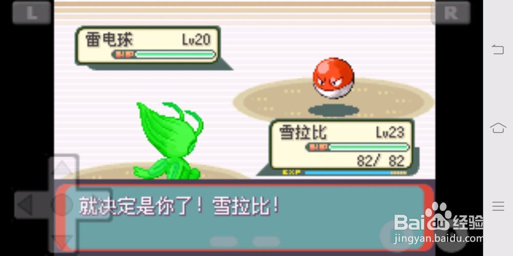 宝可梦绿宝石紫堇市道馆攻略