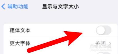 如何设置苹果手机使用粗体文本