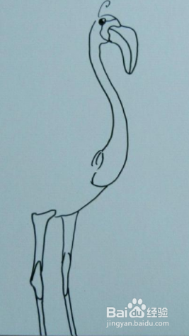 抽象的鸵鸟手绘明信片制作