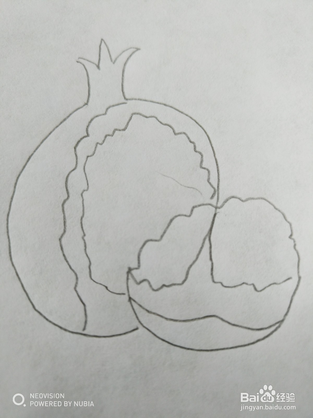 好吃的石榴怎么画