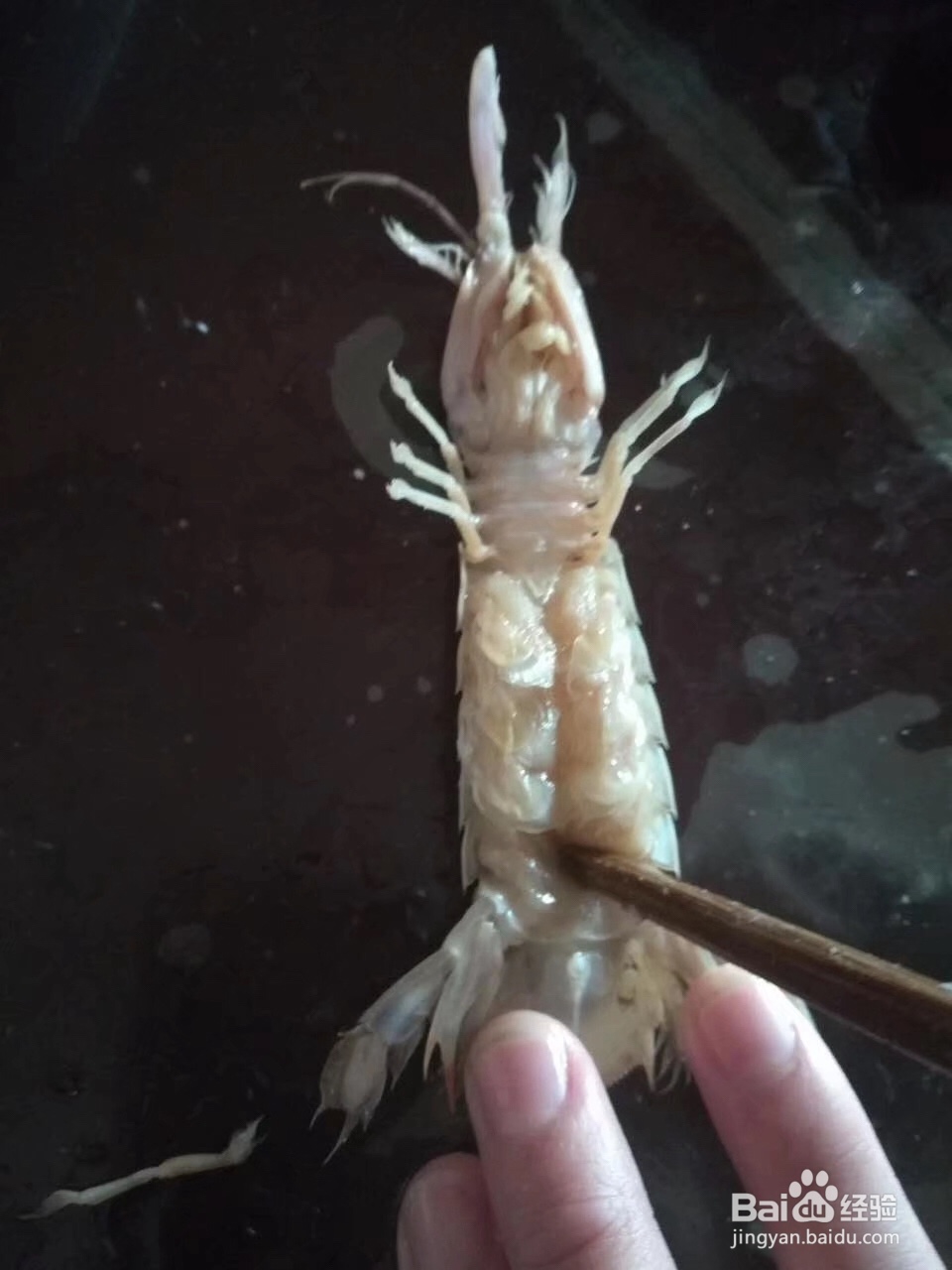 皮皮虾的正确吃法,简单易学。2秒剥虾