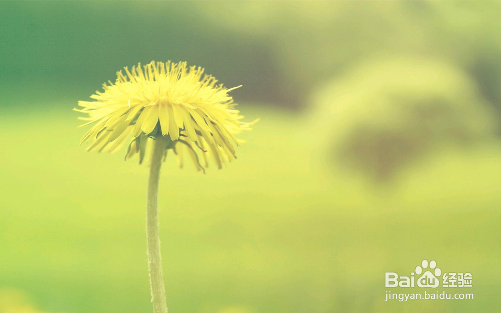 如何将男人的暧昧转换成真爱